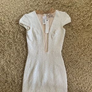 Dress the Population Sequin Dress